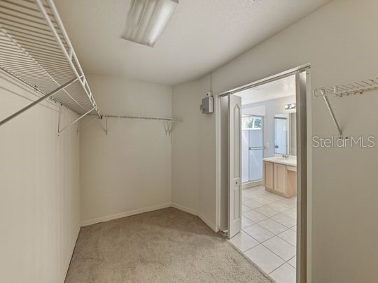 249 Richmond Drive Davenport FL 33896 O6346241 image28