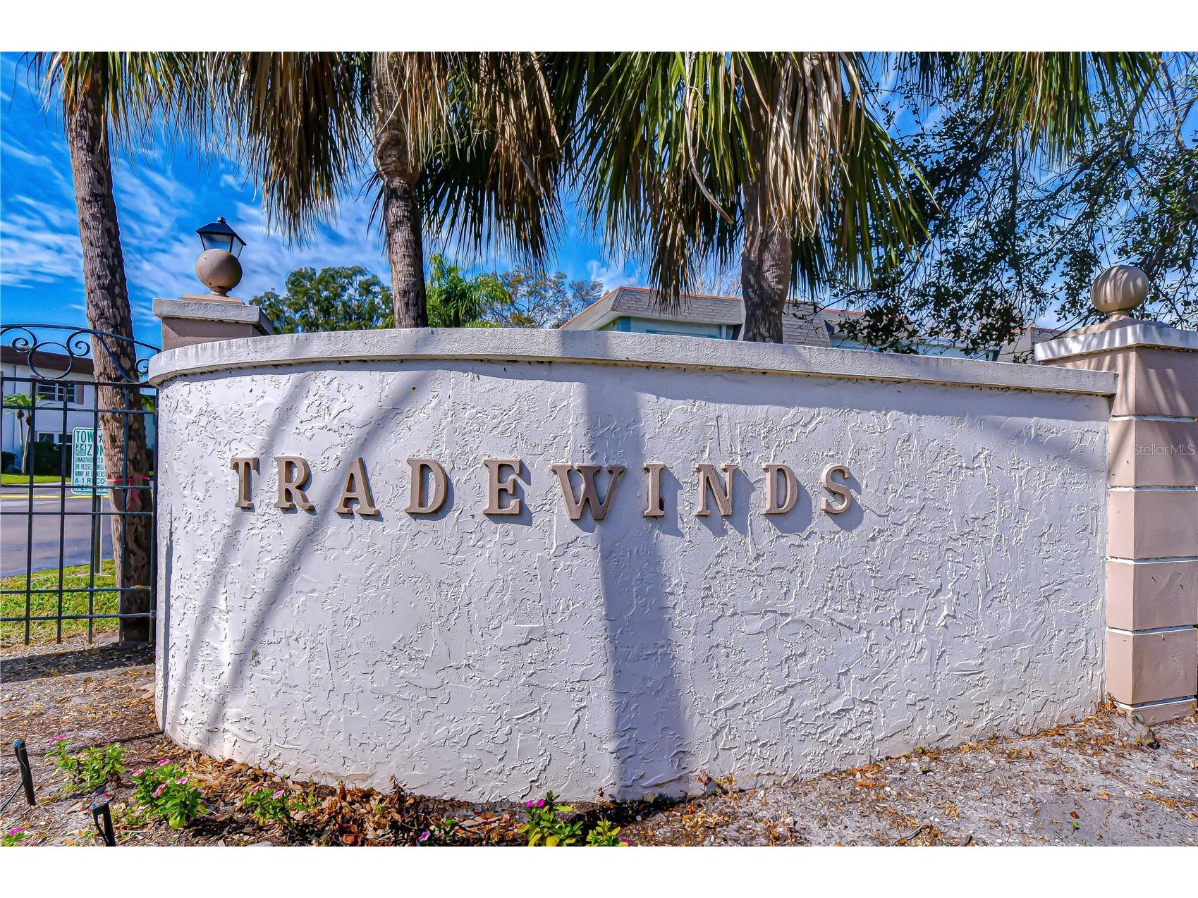 249 S Mcmullen Booth Road #25 Clearwater FL 33759 TB8506633 image26