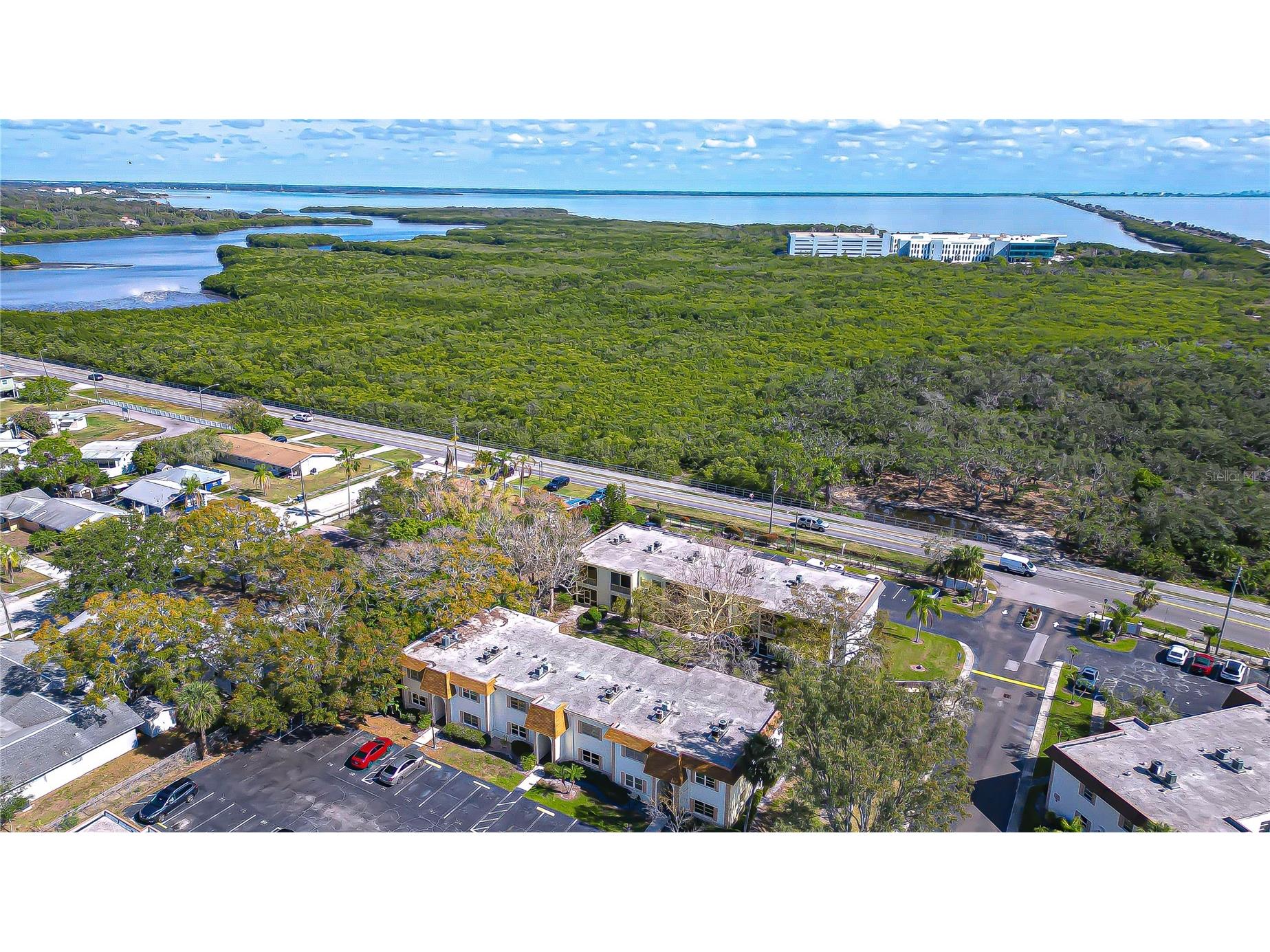 249 S Mcmullen Booth Road #25 Clearwater FL 33759 TB8506633 image29