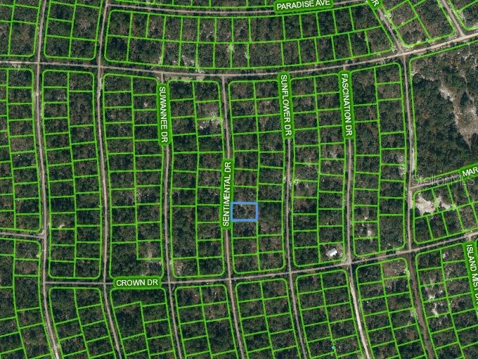 249 Sentimental Drive Lake Placid FL 33852 OM621222 image1