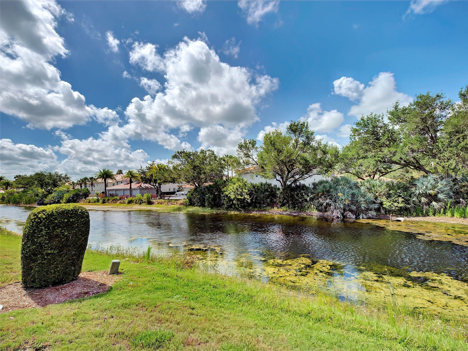 249 Vista Del Lago Way Venice FL 34292 N6144379 image50