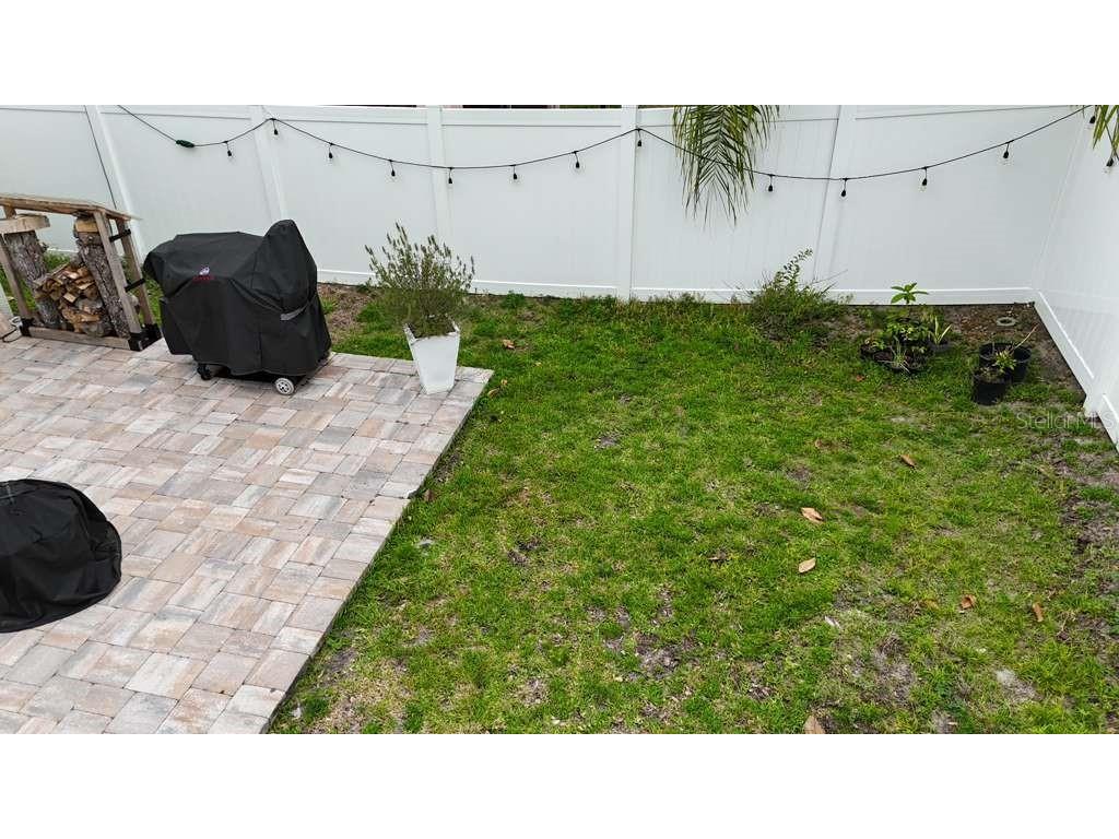 24900 Oakhaven Court Lutz FL 33559 TB8509292 image41