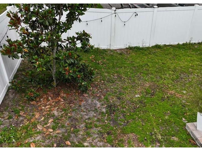 24900 Oakhaven Court Lutz FL 33559 TB8509292 image42