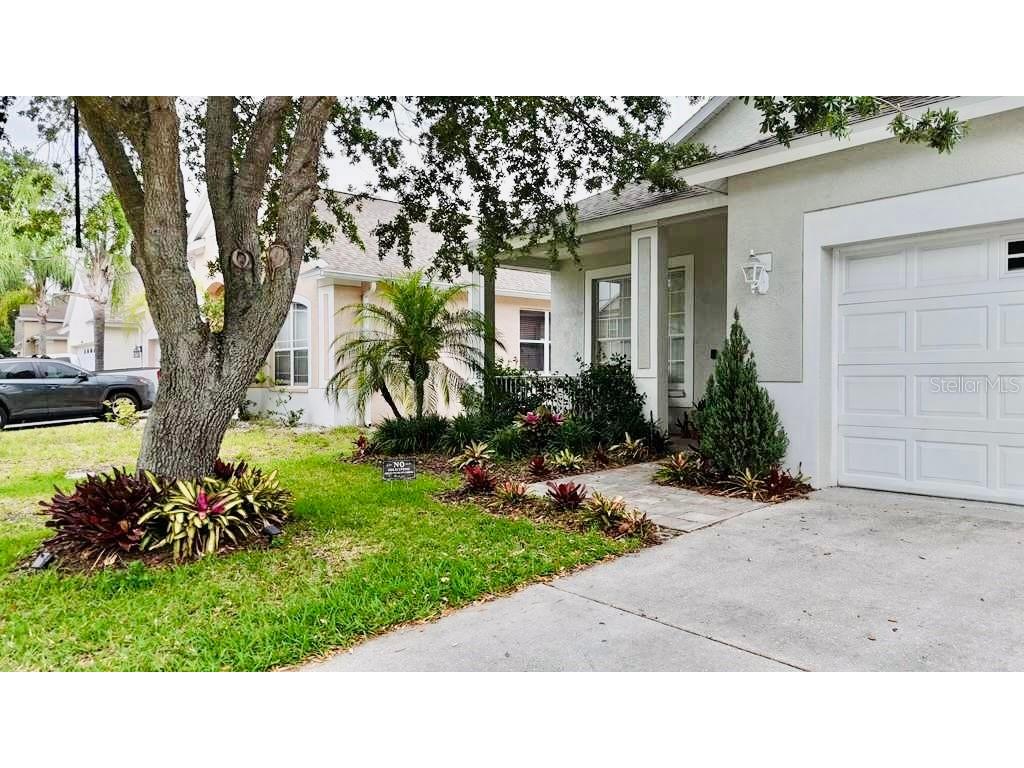 24900 Oakhaven Court Lutz FL 33559 TB8509292 image6