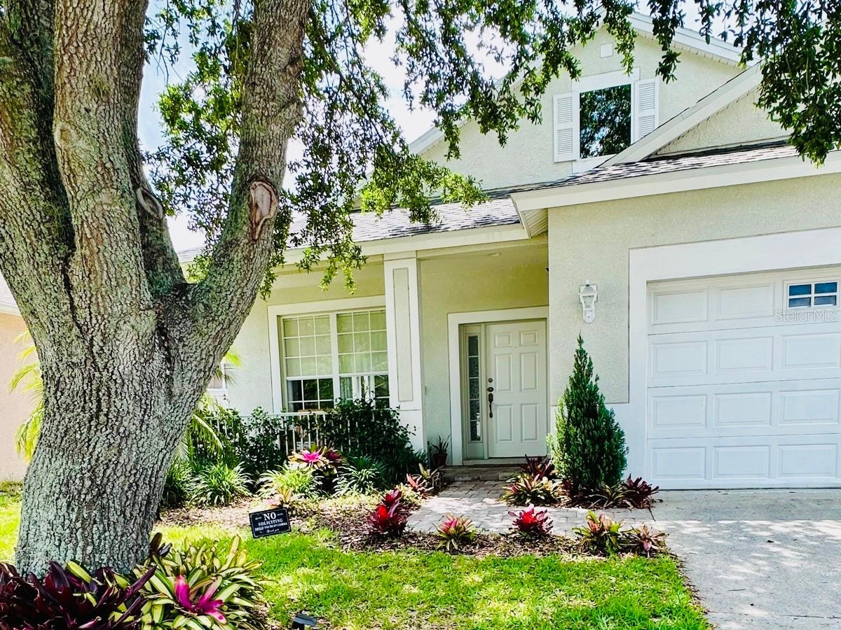 24900 Oakhaven Court Lutz FL 33559 TB8509292 image7