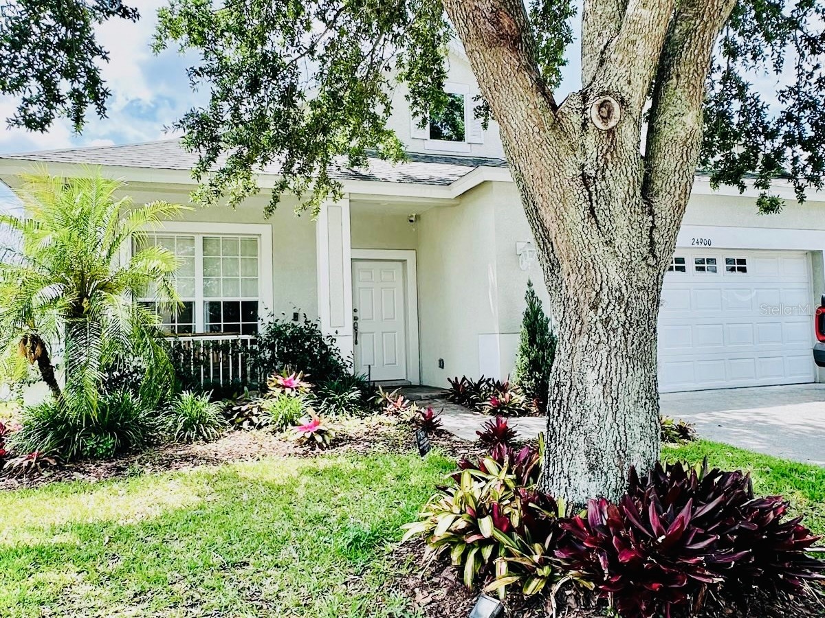24900 Oakhaven Court Lutz FL 33559 TB8509292 image8