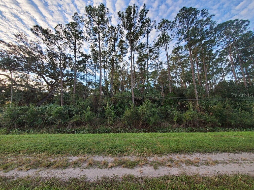 24902 E Colonial Drive Christmas FL 32709 O6132604 image1