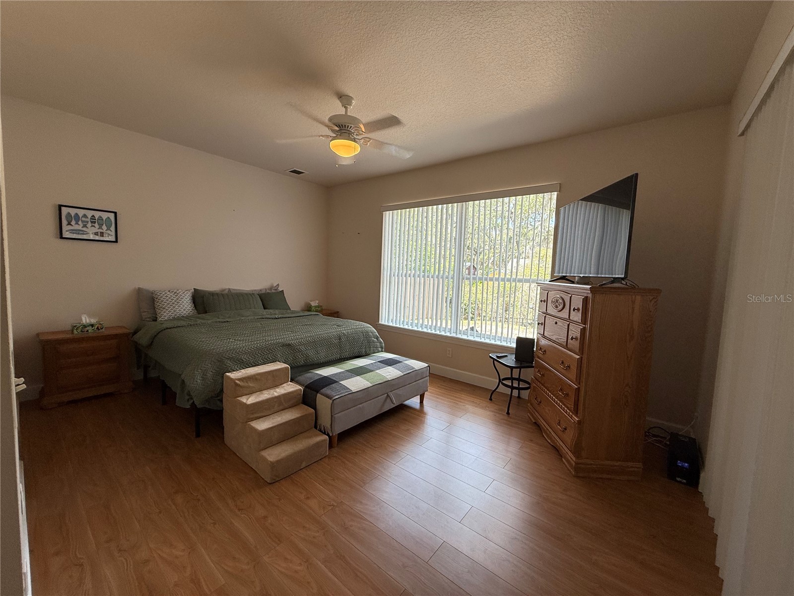 24907 NE 135th Street Salt Springs FL 32134 - LITTLE LAKE KERR O6396285 image15