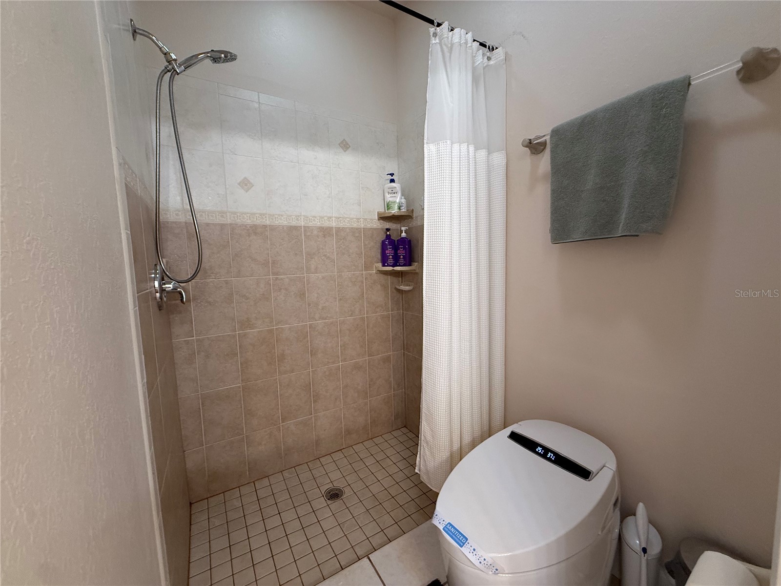 24907 NE 135th Street Salt Springs FL 32134 - LITTLE LAKE KERR O6396285 image18