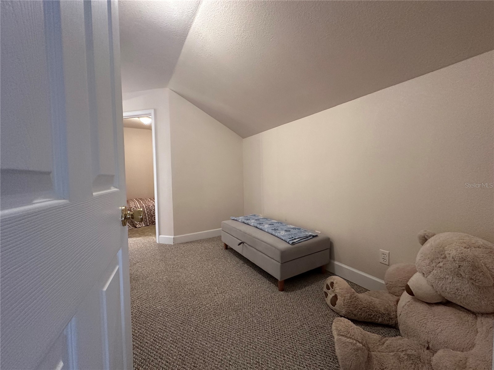 24907 NE 135th Street Salt Springs FL 32134 - LITTLE LAKE KERR O6396285 image29