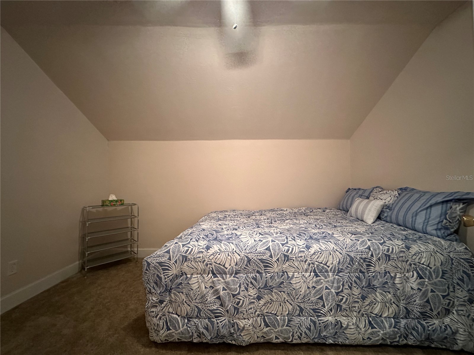 24907 NE 135th Street Salt Springs FL 32134 - LITTLE LAKE KERR O6396285 image33