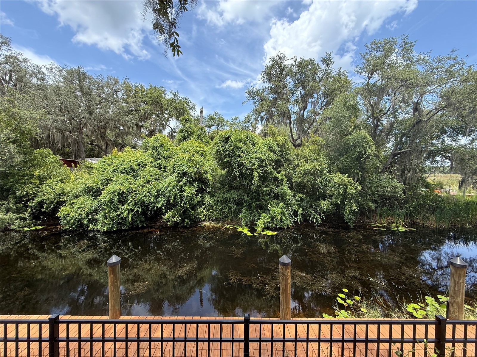 24907 NE 135th Street Salt Springs FL 32134 - LITTLE LAKE KERR O6396285 image46