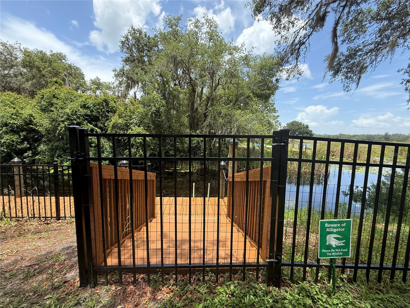 24907 NE 135th Street Salt Springs FL 32134 - LITTLE LAKE KERR O6396285 image55