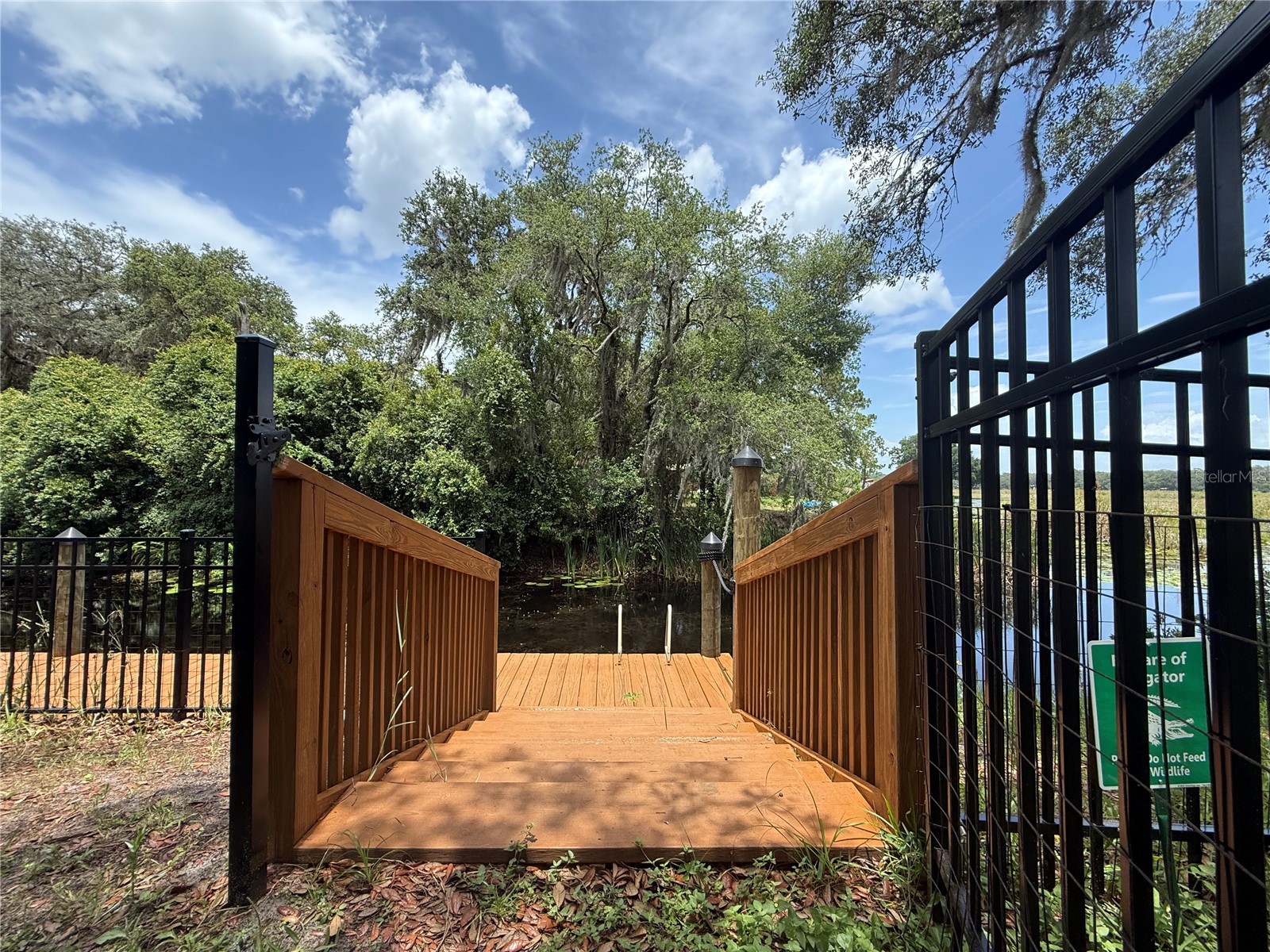 24907 NE 135th Street Salt Springs FL 32134 - LITTLE LAKE KERR O6396285 image56