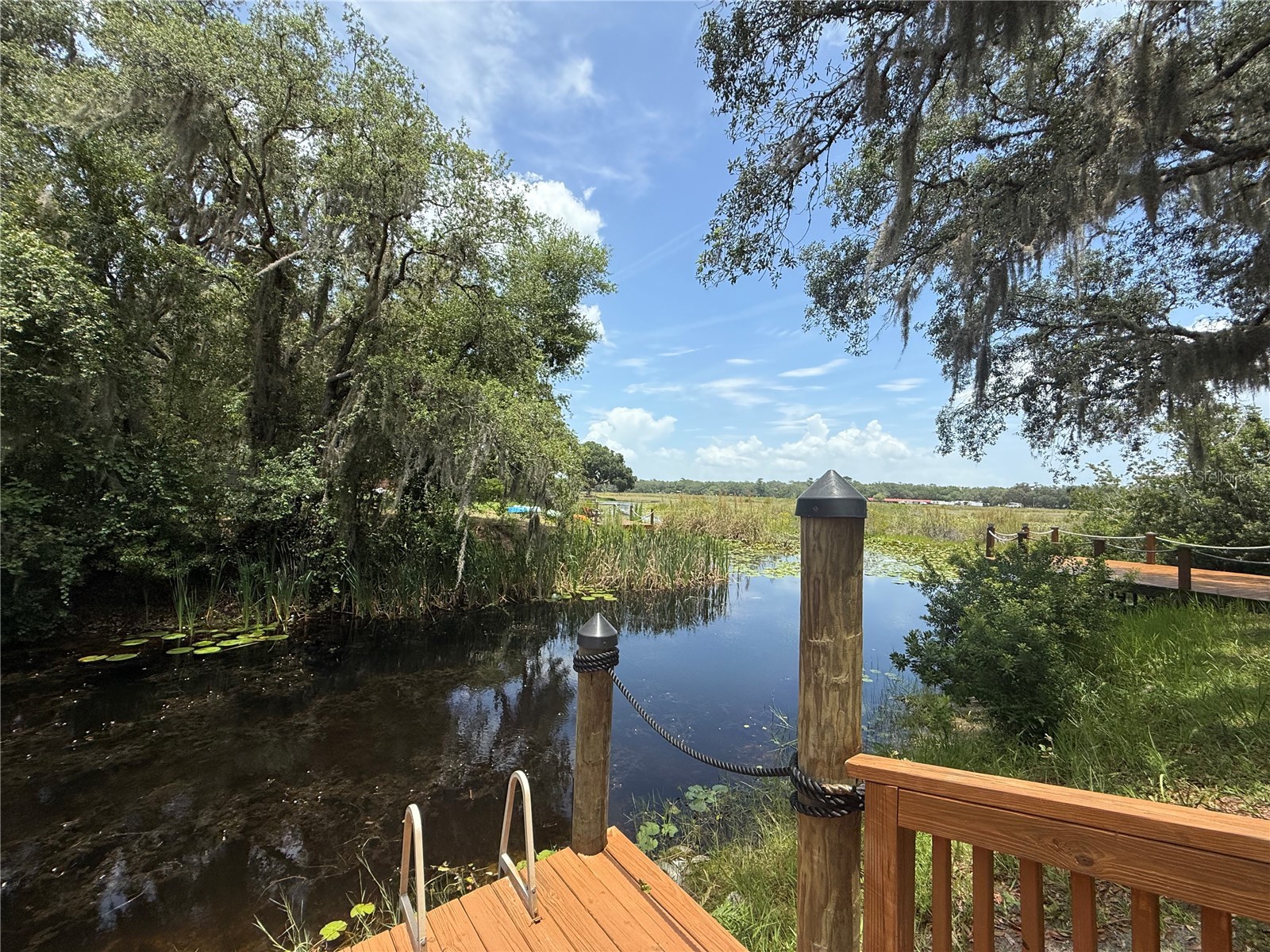 24907 NE 135th Street Salt Springs FL 32134 - LITTLE LAKE KERR O6396285 image57