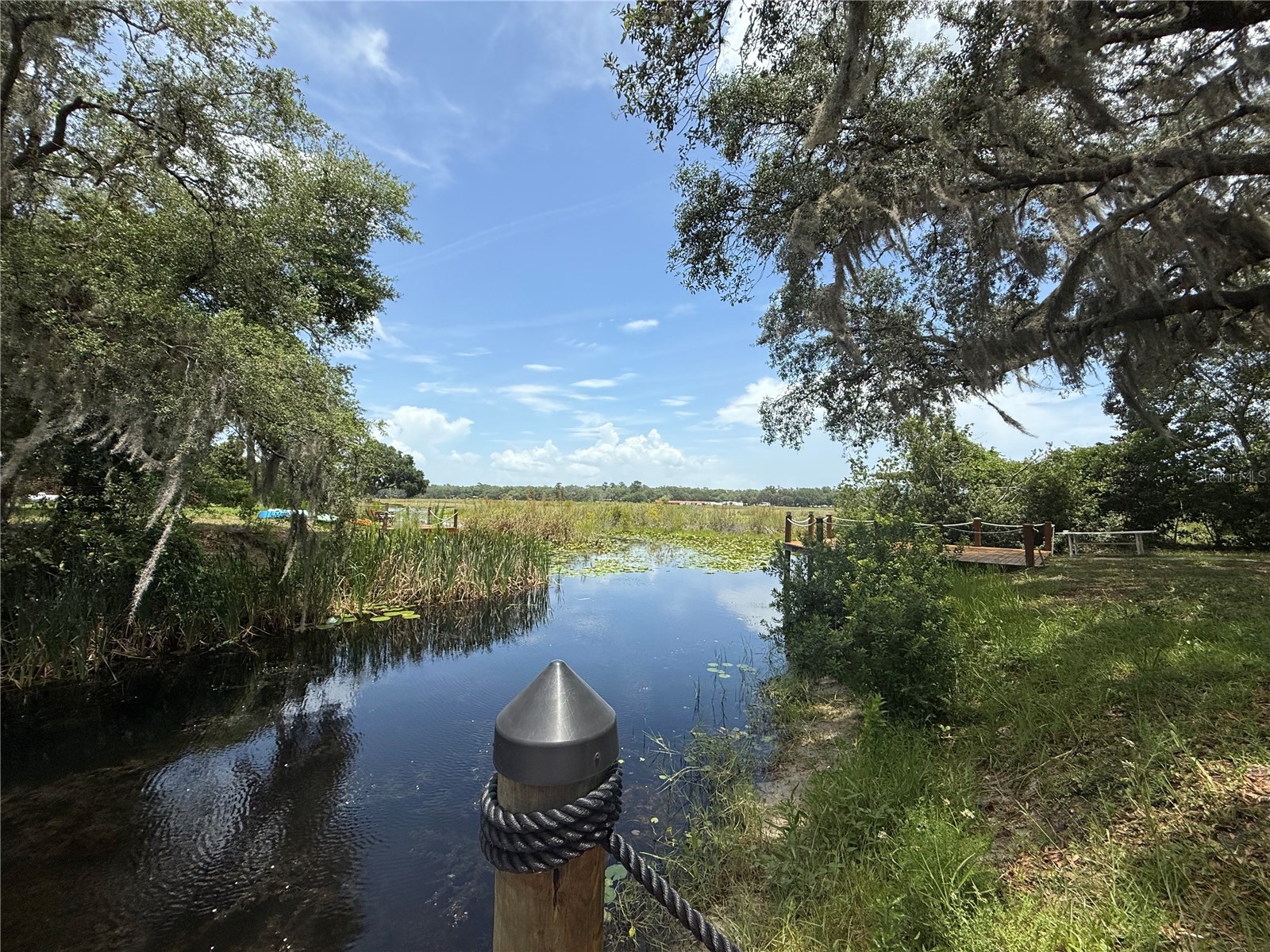 24907 NE 135th Street Salt Springs FL 32134 - LITTLE LAKE KERR O6396285 image58