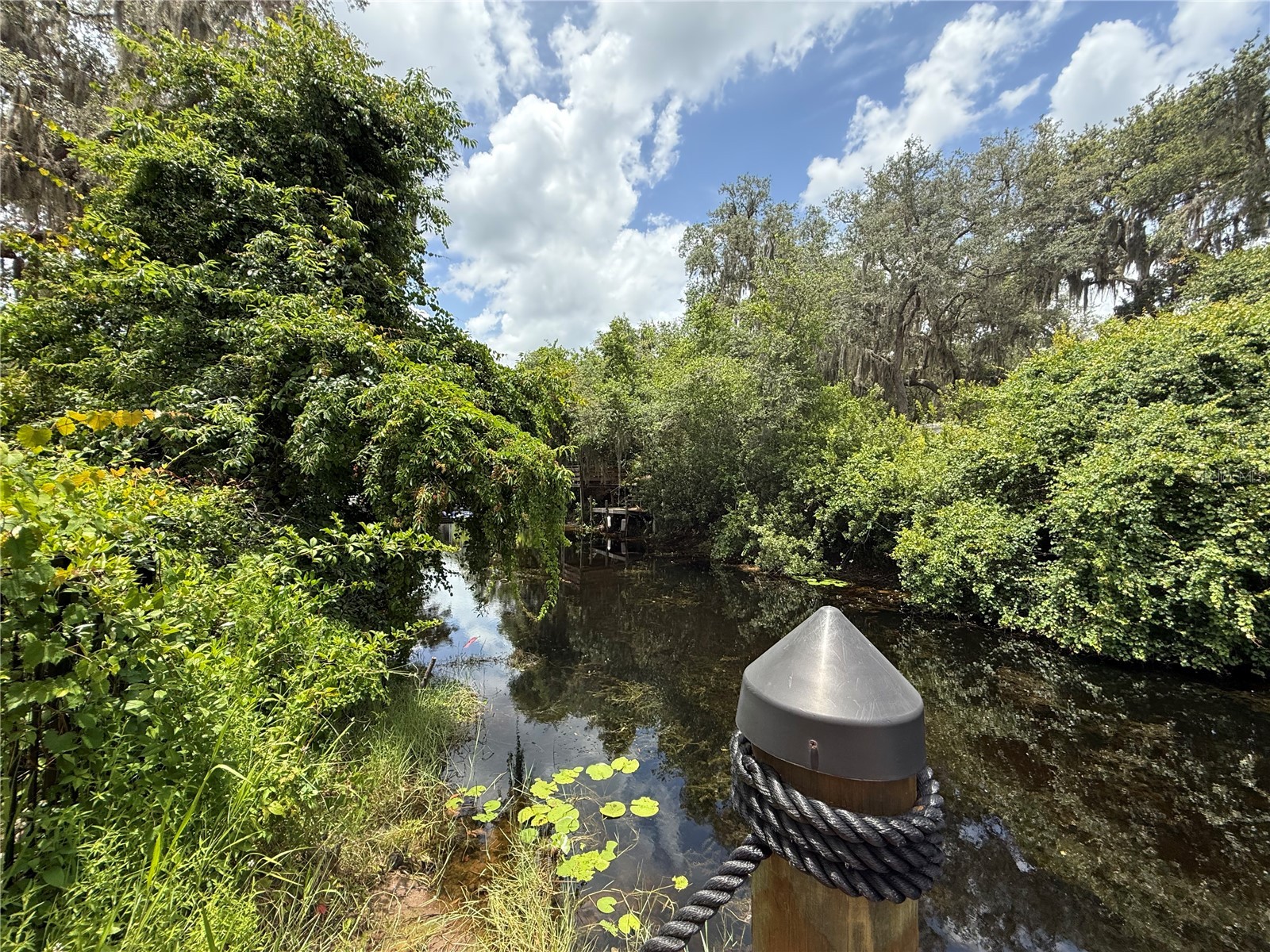 24907 NE 135th Street Salt Springs FL 32134 - LITTLE LAKE KERR O6396285 image60