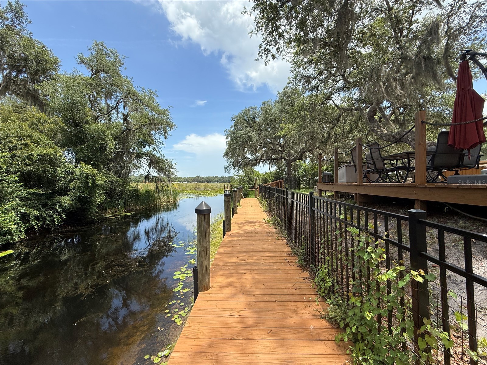 24907 NE 135th Street Salt Springs FL 32134 - LITTLE LAKE KERR O6396285 image61
