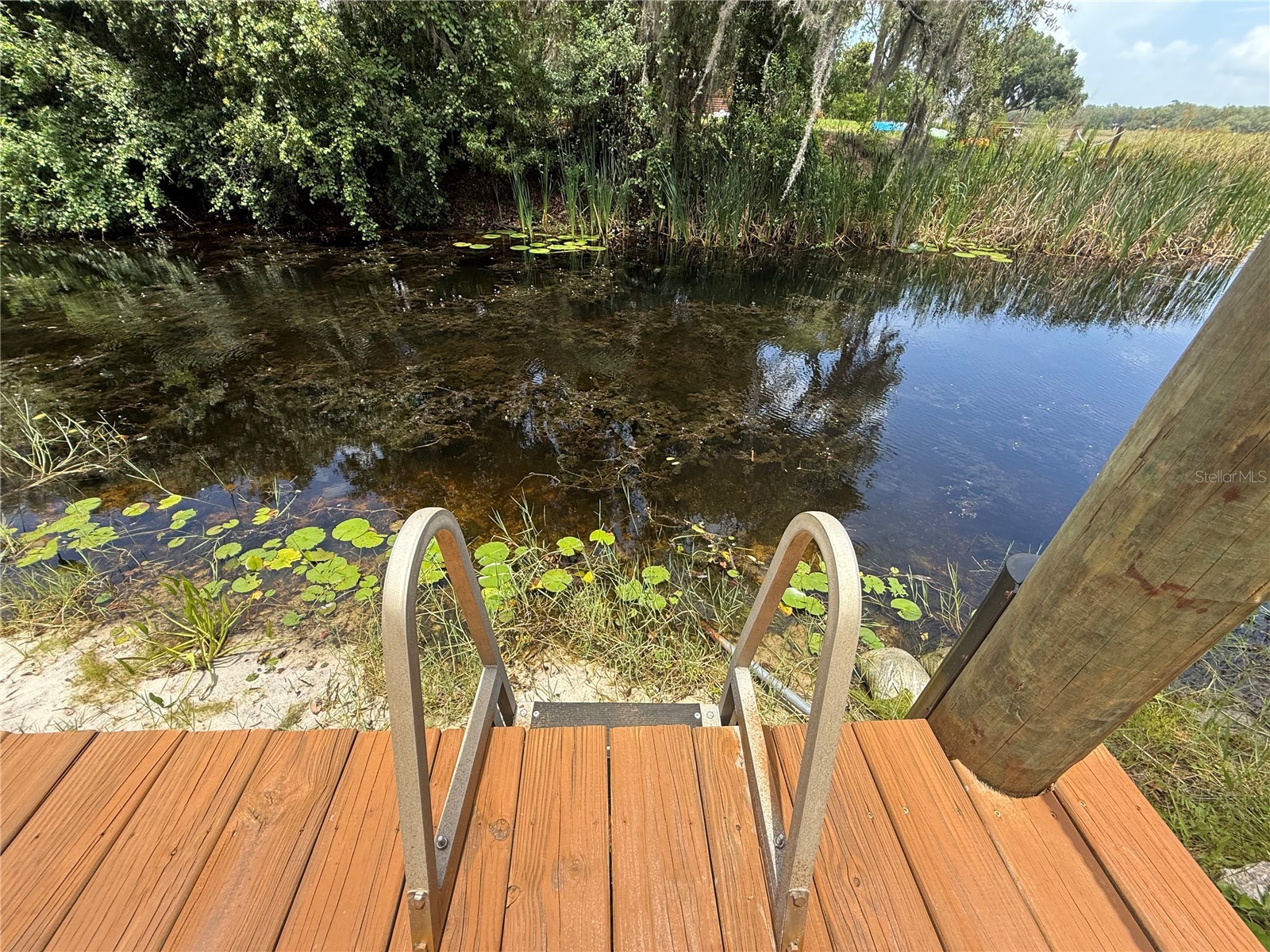 24907 NE 135th Street Salt Springs FL 32134 - LITTLE LAKE KERR O6396285 image63