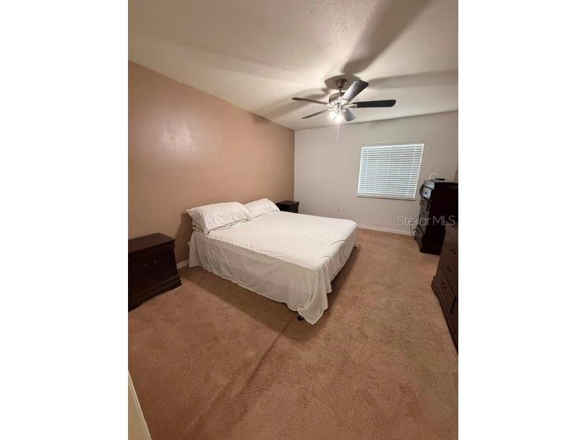 2491 Hassonite Street Kissimmee FL 34744 O6407957 image11