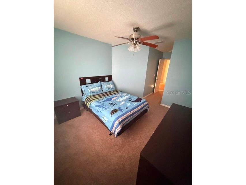 2491 Hassonite Street Kissimmee FL 34744 O6407957 image8