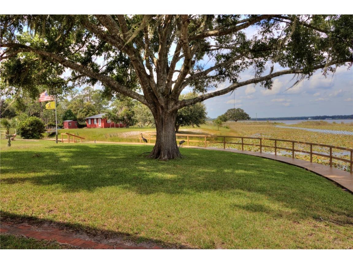 24921 NE 136th Lane Salt Springs FL 32134 - LITTLE LAKE KERR OM709948 image21