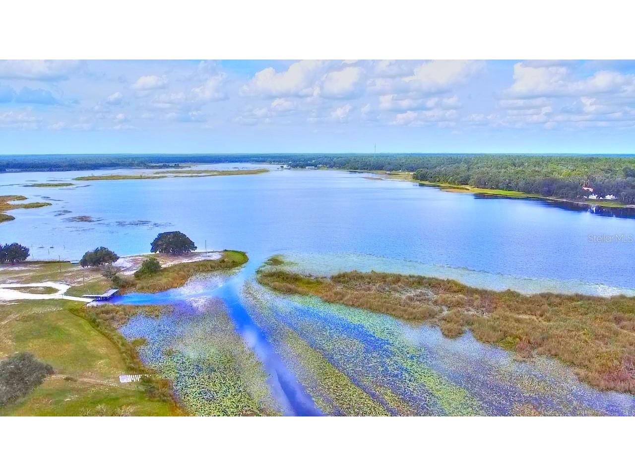 24921 NE 136th Lane Salt Springs FL 32134 - LITTLE LAKE KERR OM709948 image29