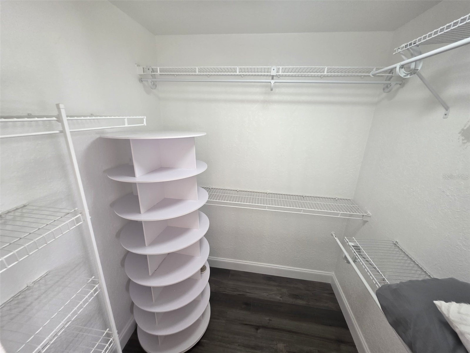 24921 Ravello Street Land O Lakes FL 34639 TB8486445 image28