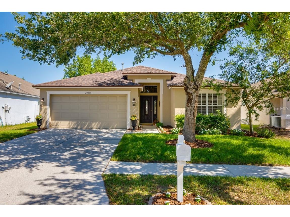 24925 Oakhaven Court Lutz FL 33559 U8240856 image1