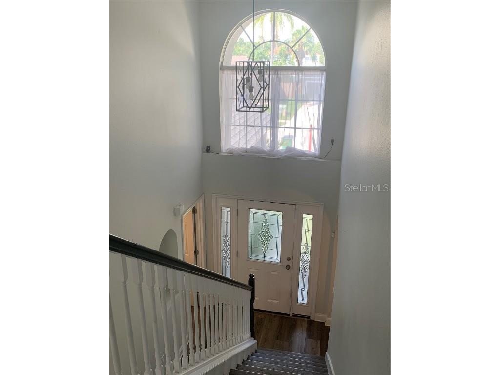 24925 Ravello Street Land O Lakes FL 34639 TB8415028 image12