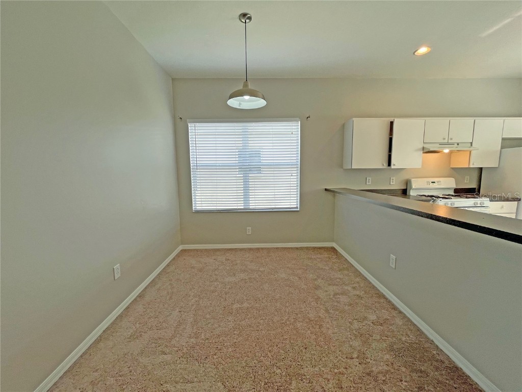 24925 Vintage Court Lutz FL 33559 TB8440610 image11