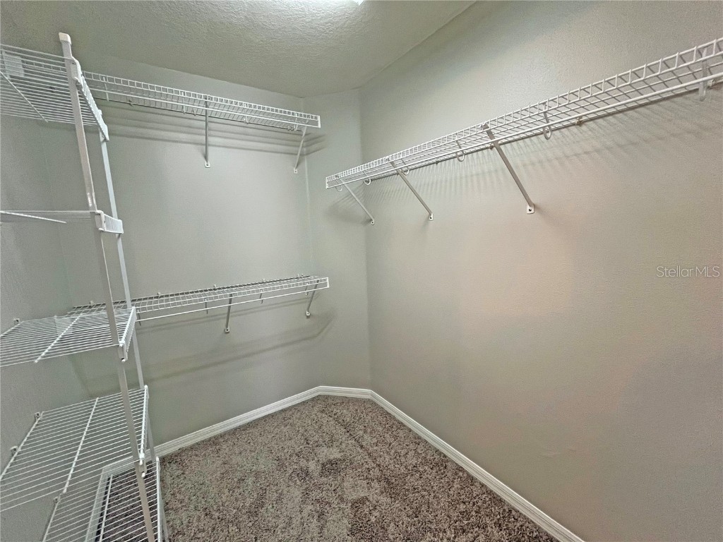 24925 Vintage Court Lutz FL 33559 TB8440610 image34