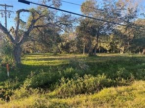 24926 E Colonial Drive Christmas FL 32709 S5081976 image1