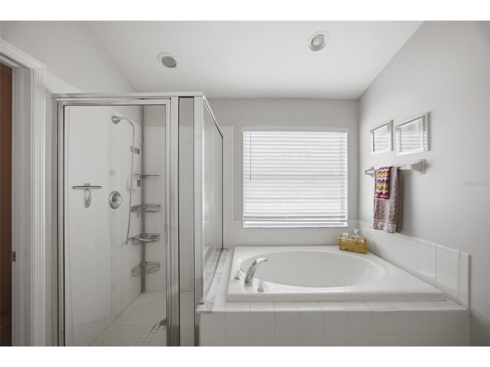 24927 Portofino Drive Lutz FL 33559 TB8492998 image20