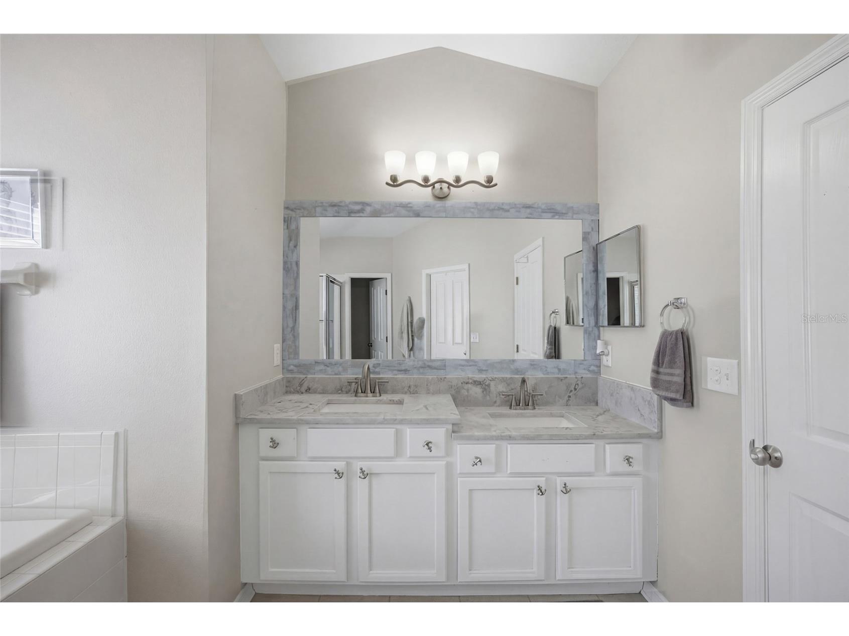 24927 Portofino Drive Lutz FL 33559 TB8492998 image21