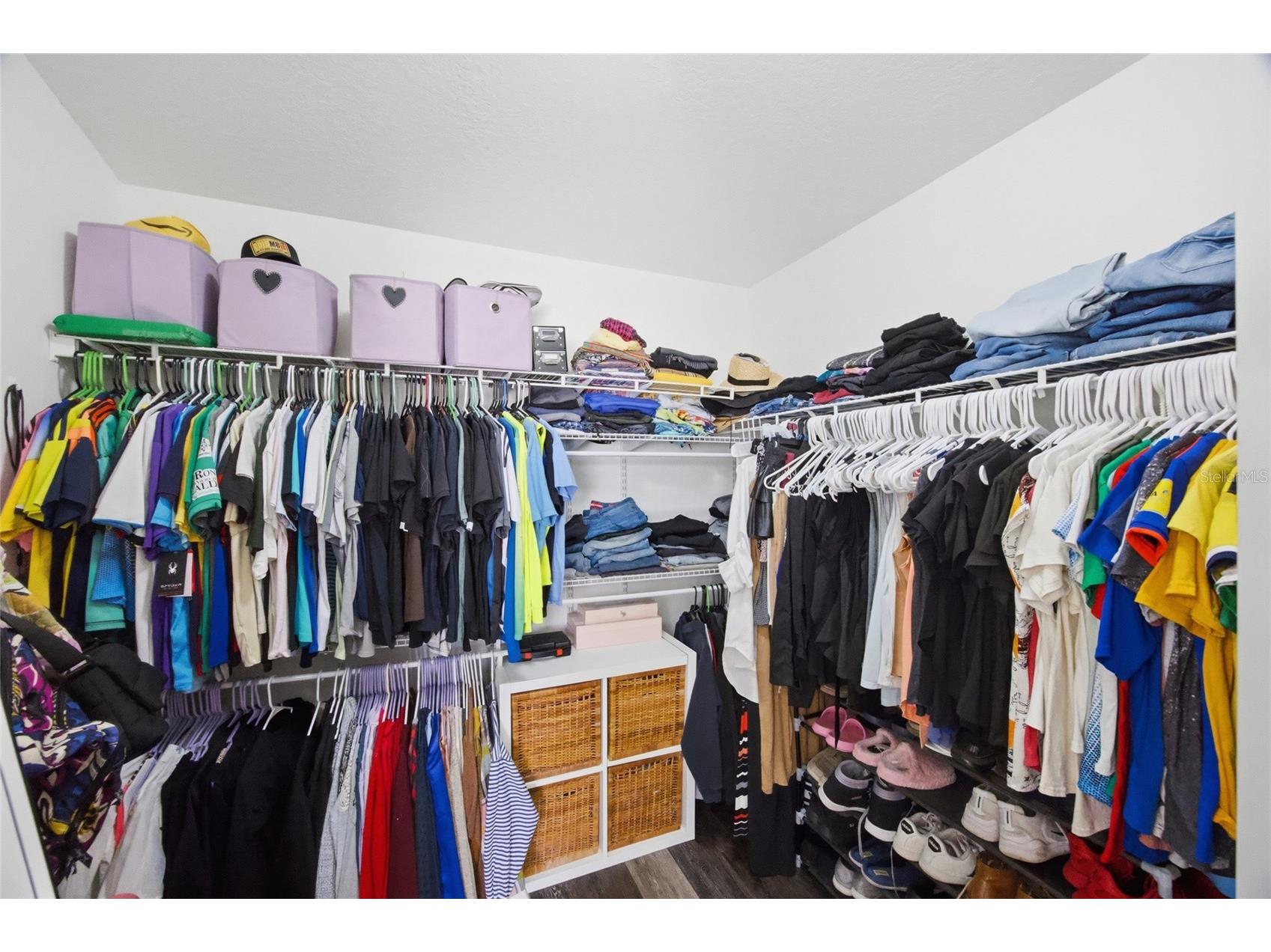 24927 Portofino Drive Lutz FL 33559 TB8492998 image23