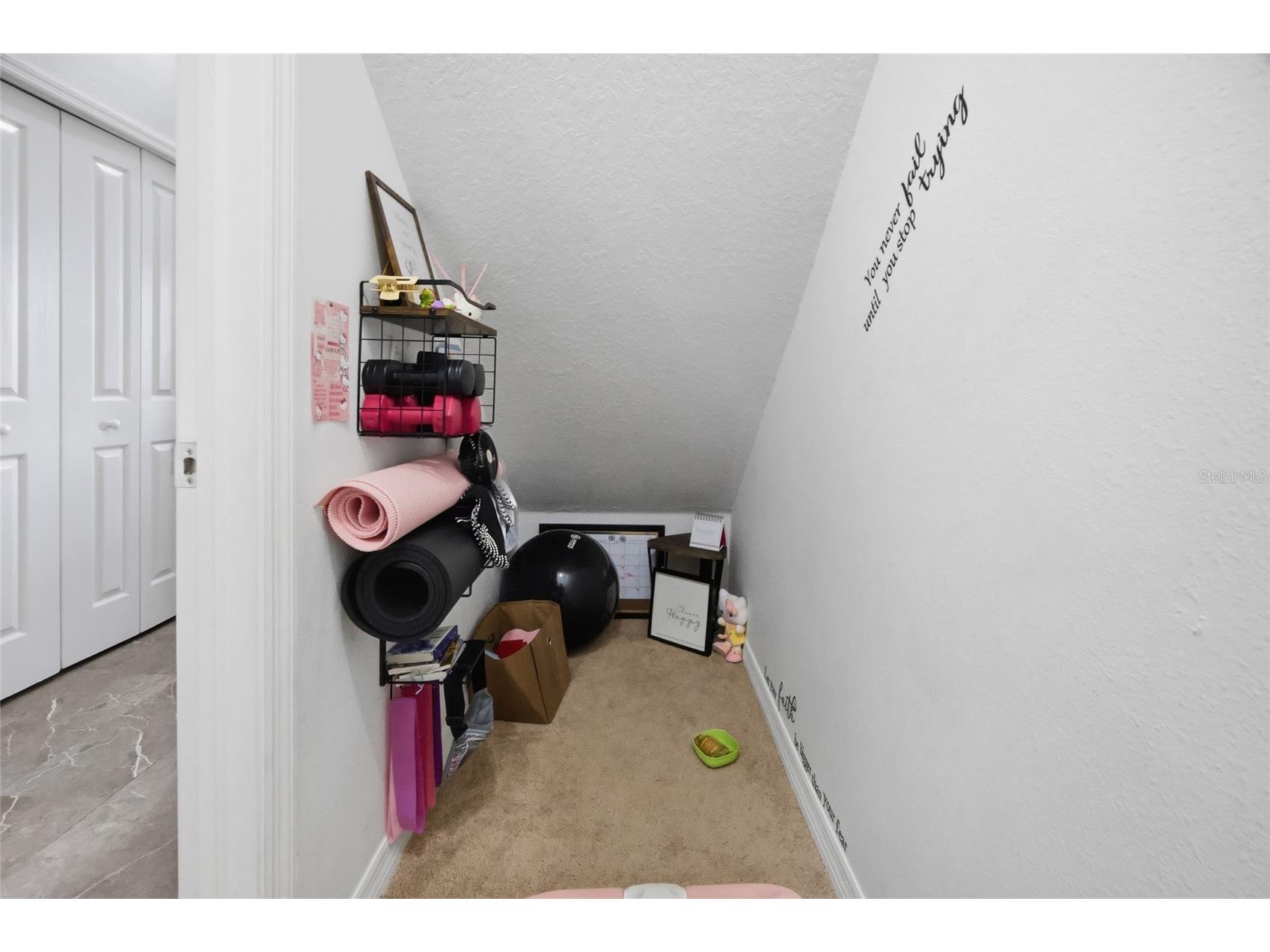 24927 Portofino Drive Lutz FL 33559 TB8492998 image31
