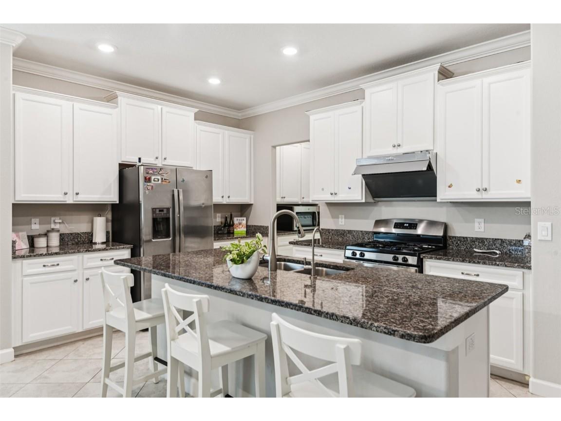 24928 Lambrusco Loop Lutz FL 33559 TB8426876 image13