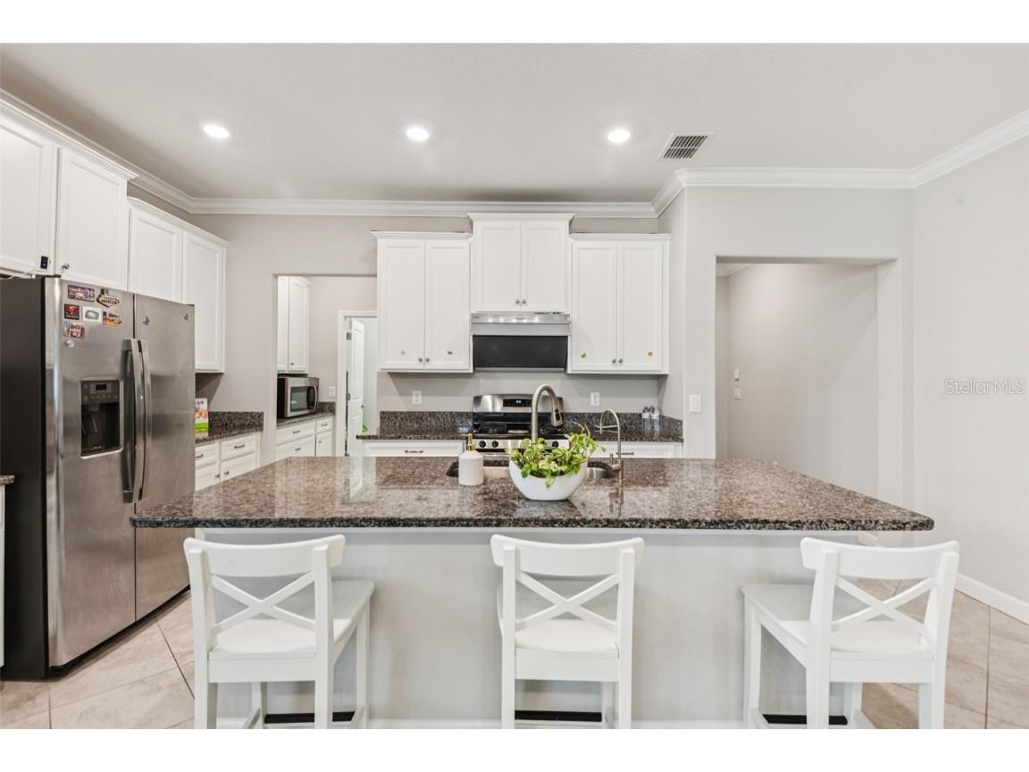 24928 Lambrusco Loop Lutz FL 33559 TB8426876 image14