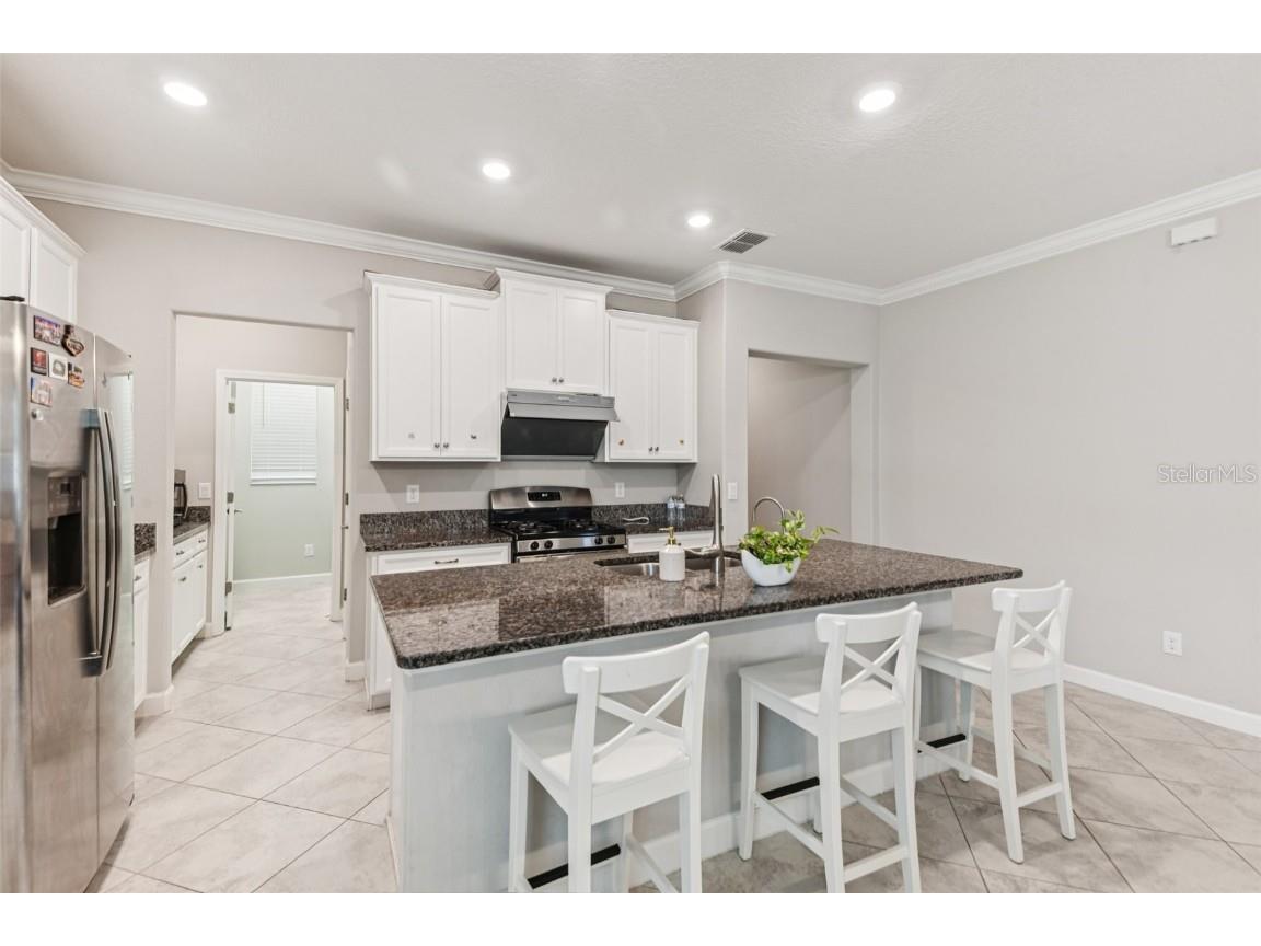 24928 Lambrusco Loop Lutz FL 33559 TB8426876 image15