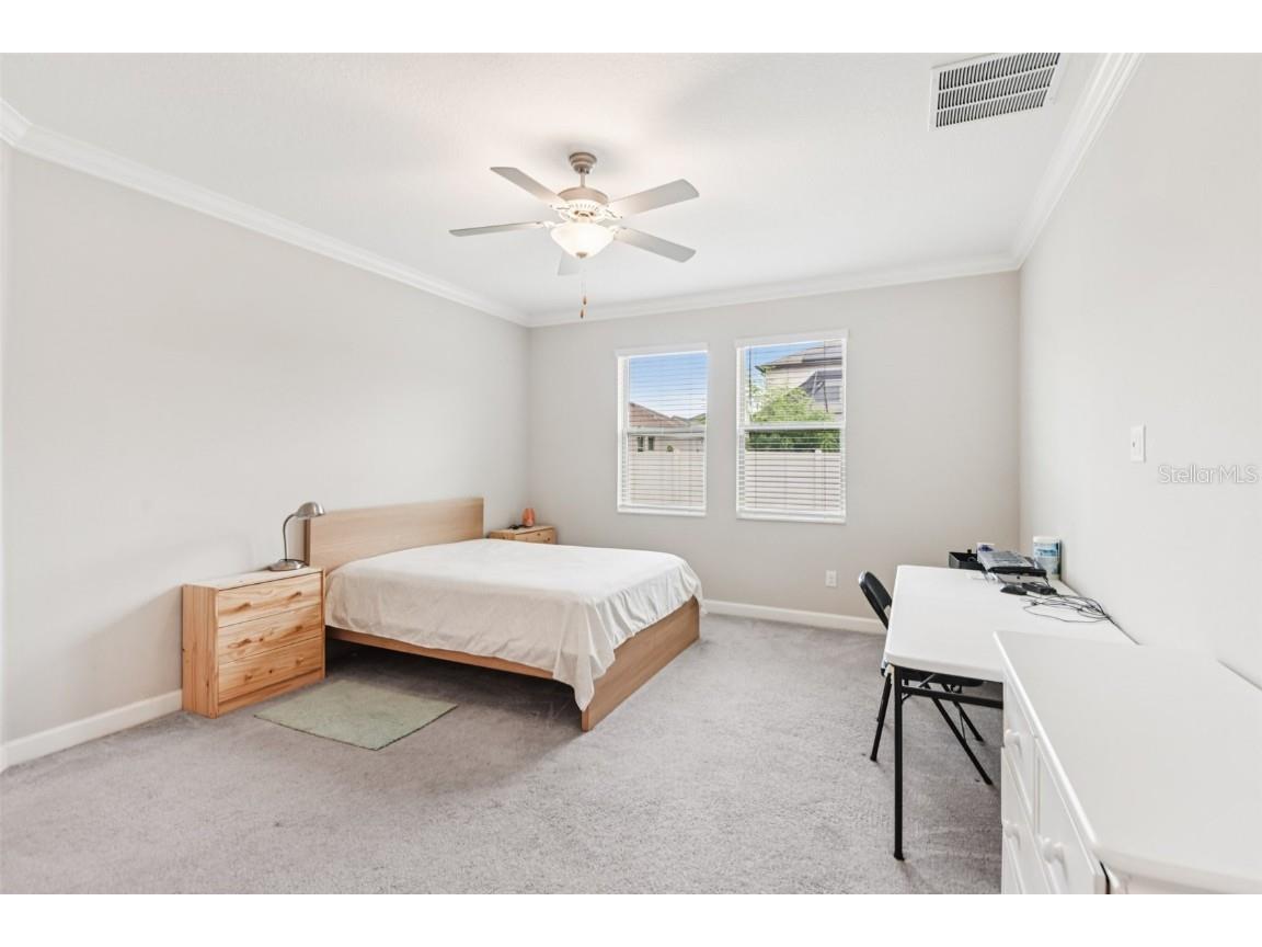 24928 Lambrusco Loop Lutz FL 33559 TB8426876 image21