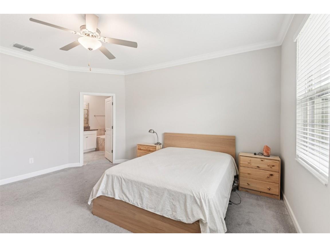 24928 Lambrusco Loop Lutz FL 33559 TB8426876 image22