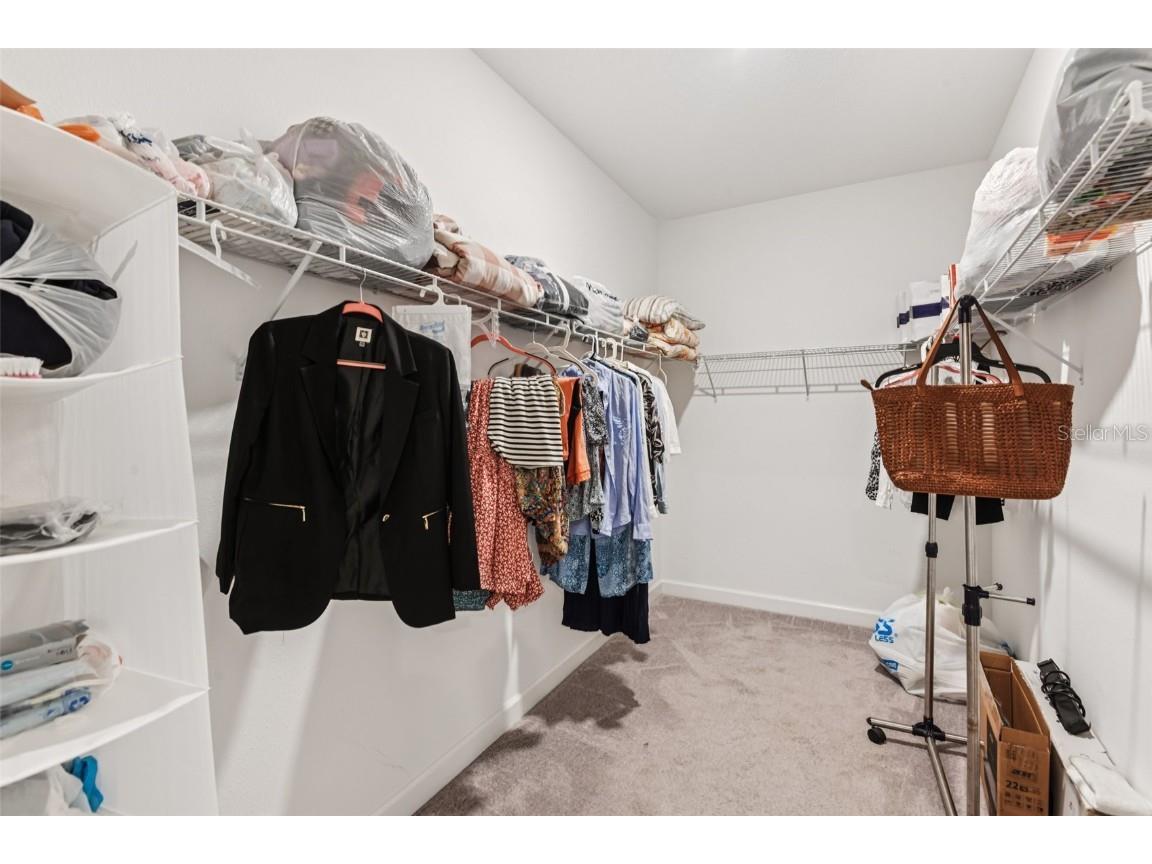 24928 Lambrusco Loop Lutz FL 33559 TB8426876 image25