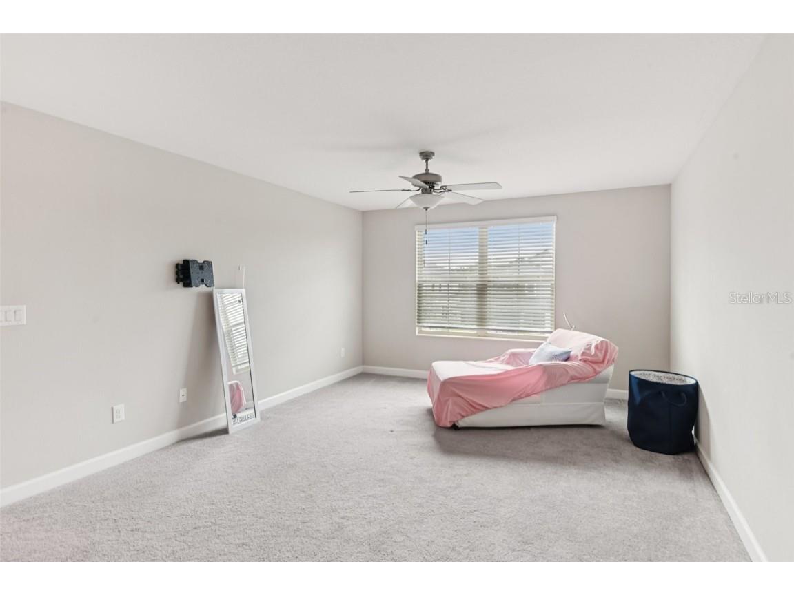 24928 Lambrusco Loop Lutz FL 33559 TB8426876 image26