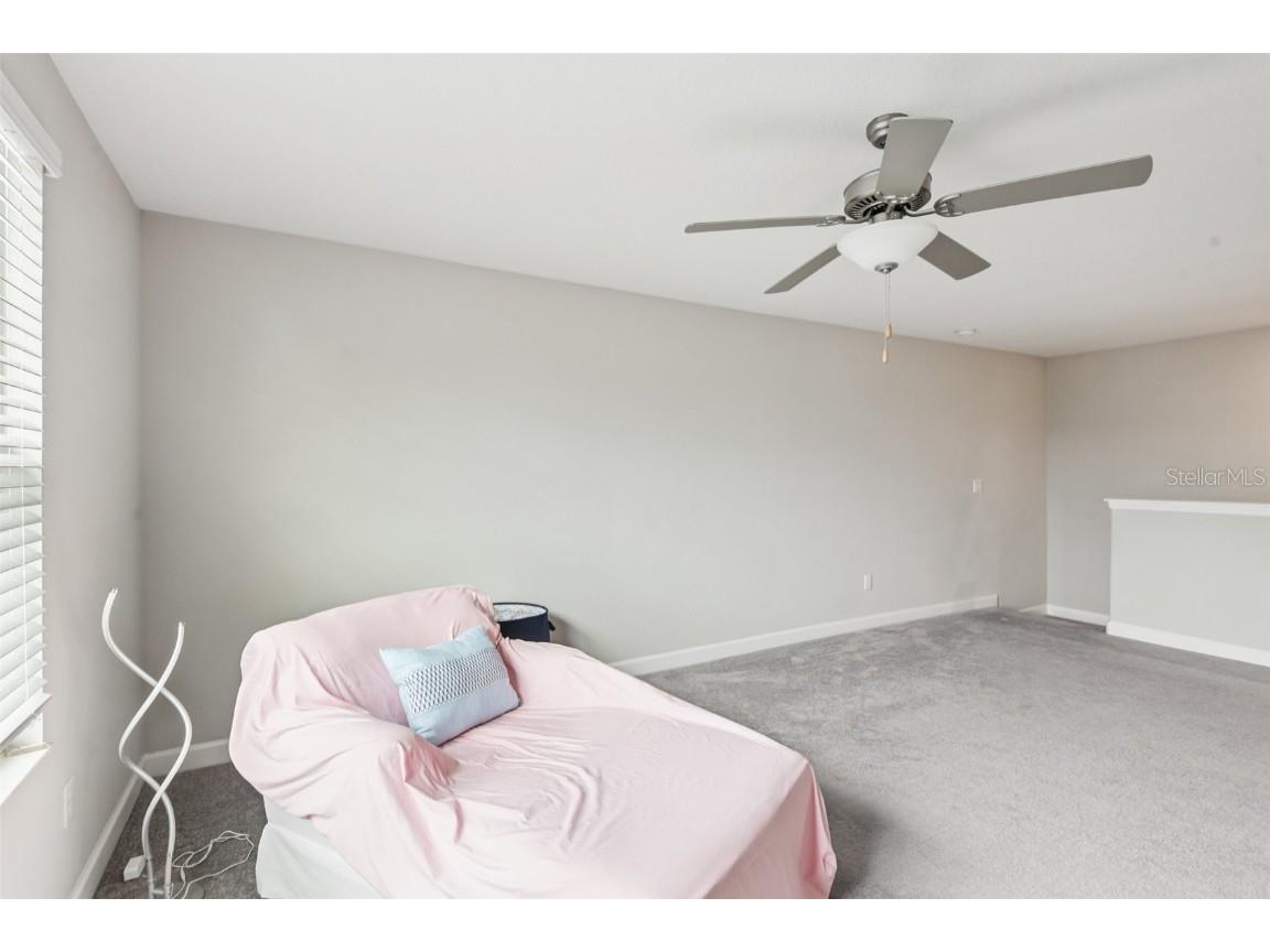 24928 Lambrusco Loop Lutz FL 33559 TB8426876 image27