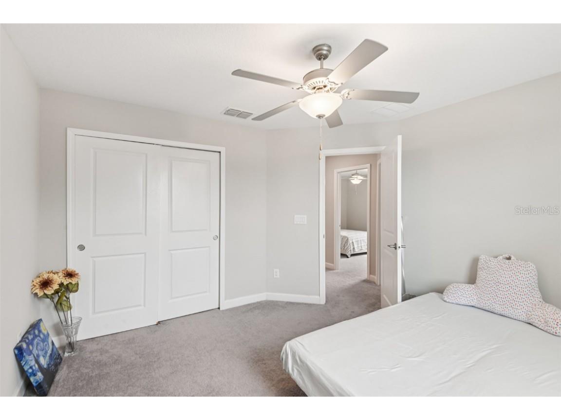 24928 Lambrusco Loop Lutz FL 33559 TB8426876 image29