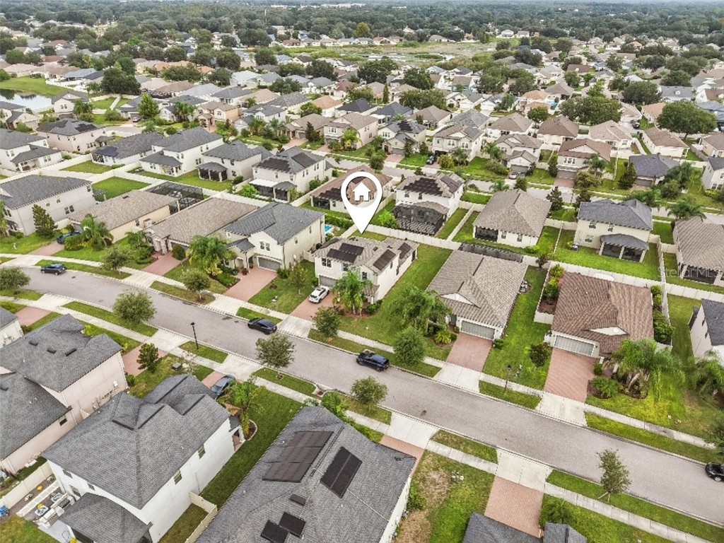 24928 Lambrusco Loop Lutz FL 33559 TB8426876 image48