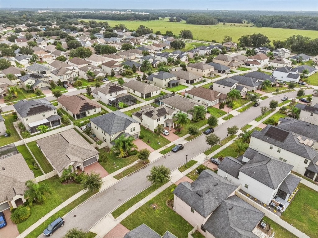 24928 Lambrusco Loop Lutz FL 33559 TB8426876 image49