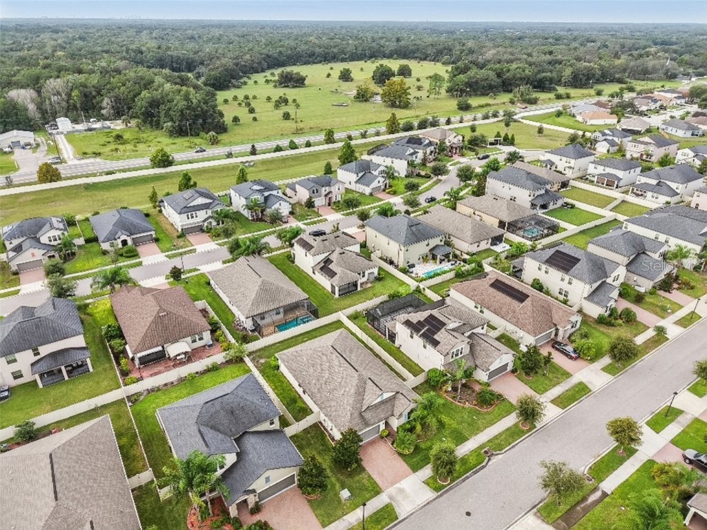 24928 Lambrusco Loop Lutz FL 33559 TB8426876 image53