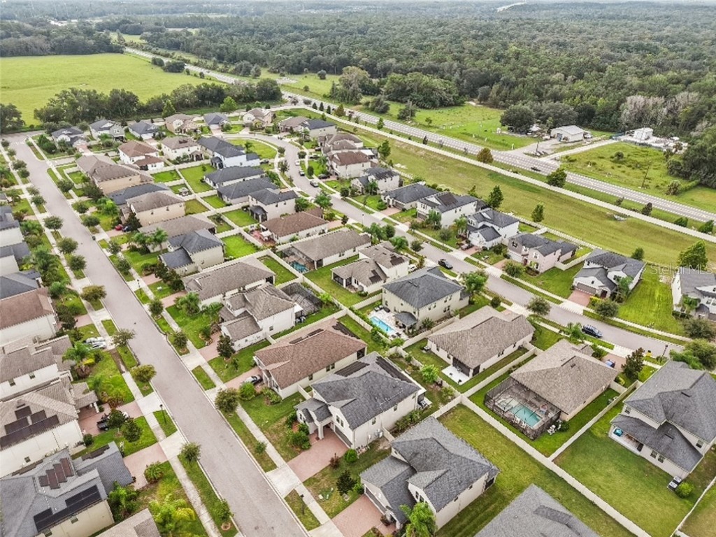 24928 Lambrusco Loop Lutz FL 33559 TB8426876 image54